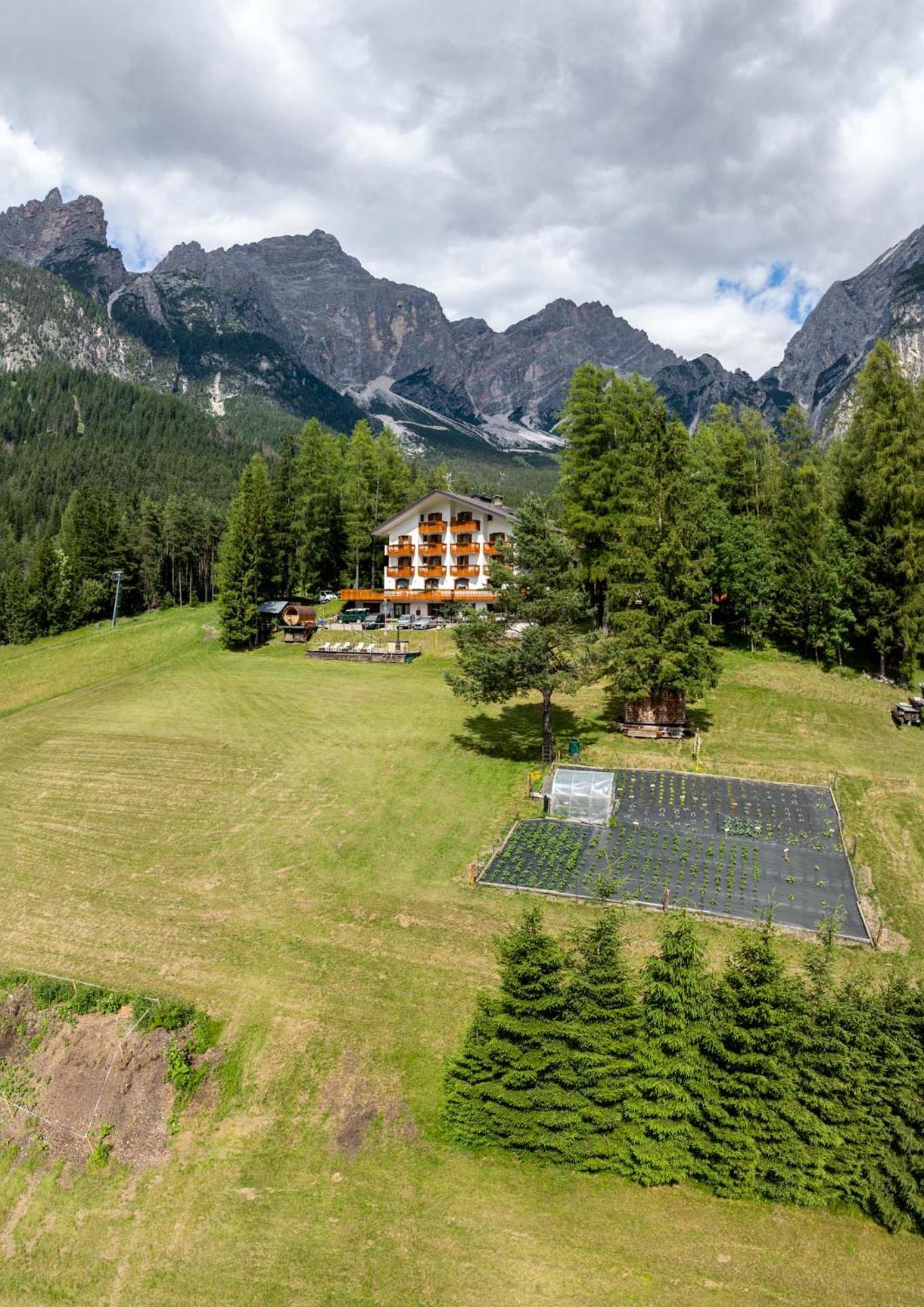 Hotel Il Cardo سان فيتو دي كادوري المظهر الخارجي الصورة