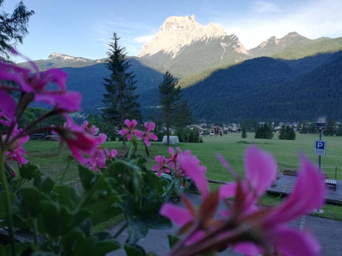 Hotel Il Cardo سان فيتو دي كادوري المظهر الخارجي الصورة